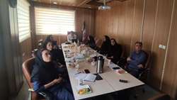 جلسه کارگروه آموزش سلامت، پرستاری آموزش و پیگیری بیمار برگزار شد